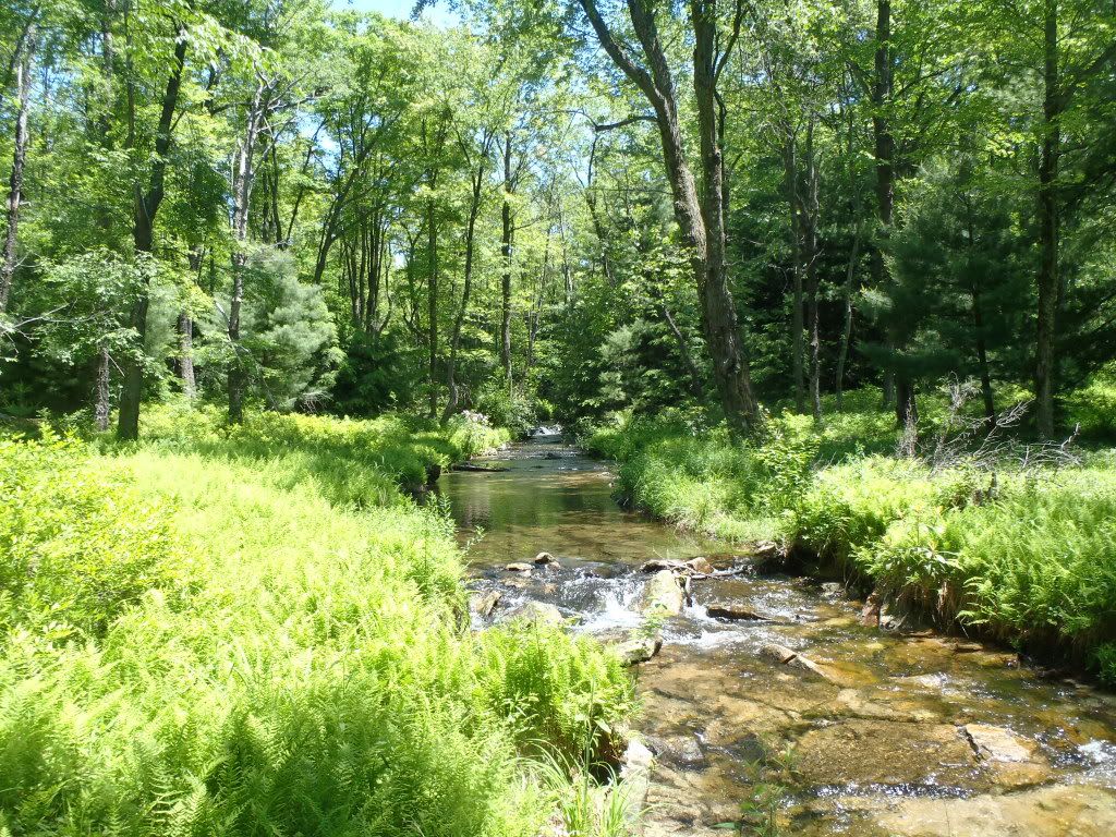 Nicksfishinhole Central PA Trout